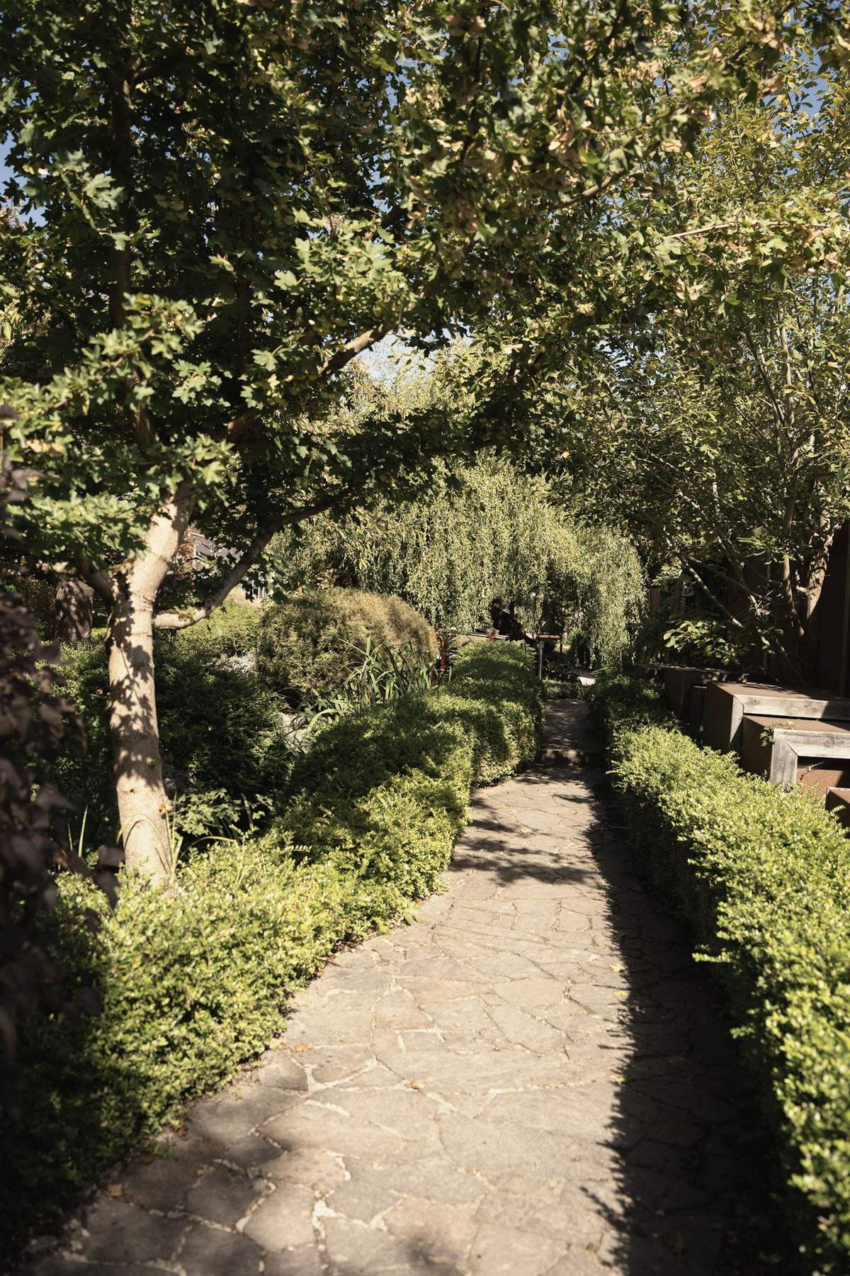 Steinweg zwischen Hecken und Bäumen im sonnigen Garten